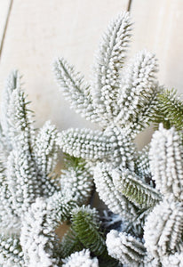 24" Faux Snowed Pine Wreath