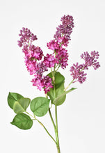Load image into Gallery viewer, Lilac Stem, 34.5&quot;, Vibrant Pink &amp; Purple
