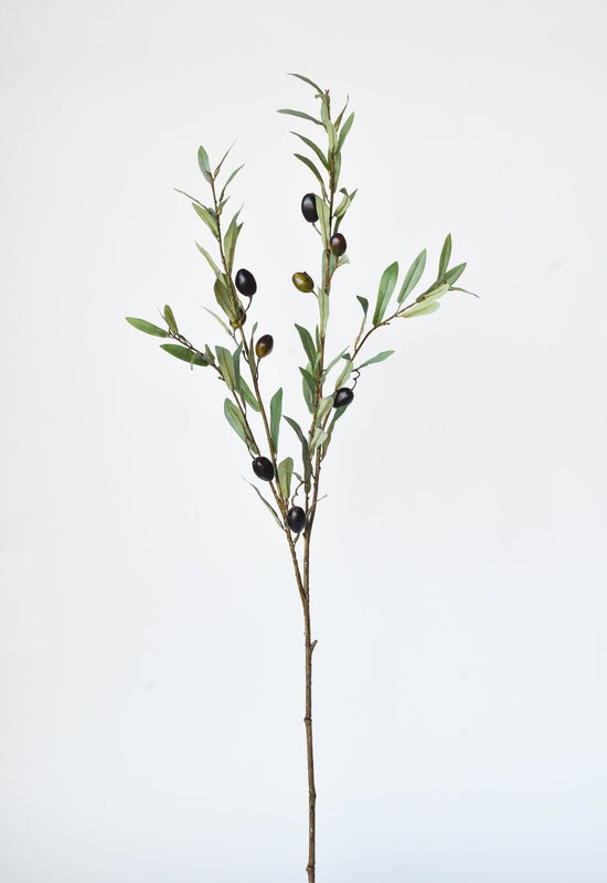 Olive Stem, 39", Green