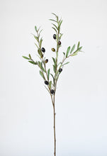 Load image into Gallery viewer, 39&quot; Faux Green Olive Stem
