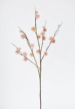 Load image into Gallery viewer, Pink Sycamore Fruit Ball Stem, 34&quot;
