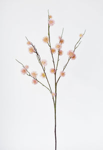Pink Sycamore Fruit Ball Stem, 34"