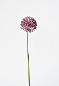 Allium Spray Stem, 17.5", Purple, Real Touch