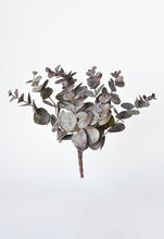 Load image into Gallery viewer, Burgundy Eucalyptus Bush, 14&quot;
