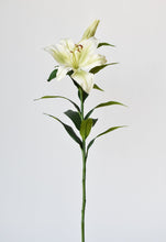 Load image into Gallery viewer, Lily Stem, 35&quot;, Green &amp; White
