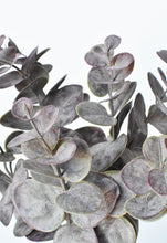 Load image into Gallery viewer, Burgundy Eucalyptus Bush, 14&quot;
