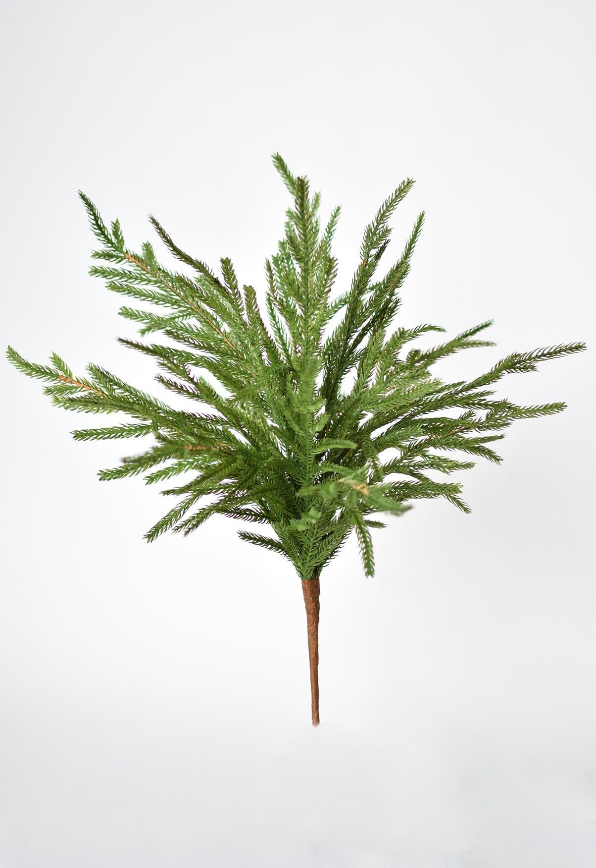 Norfolk Pine Bush, 20", Green