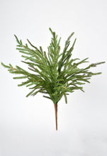 Load image into Gallery viewer, Green Cypress Bush, 20&quot;
