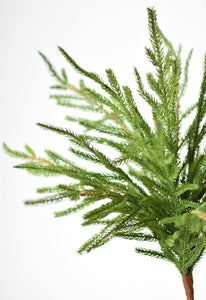 Green Cypress Bush, 20"