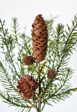 Load image into Gallery viewer, Green Mix Spray with Pinecones, 16&quot;
