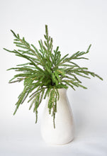 Load image into Gallery viewer, Green Cypress Bush, 20&quot;
