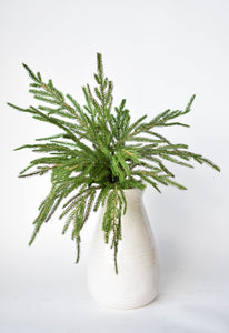 Green Cypress Bush, 20"
