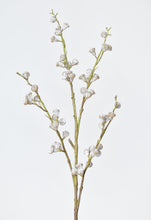 Load image into Gallery viewer, 35&quot; Faux White-washed Eucalyptus Pod Stem
