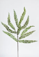 Load image into Gallery viewer, Green Woodland Fern Spray Stem, 34&quot;
