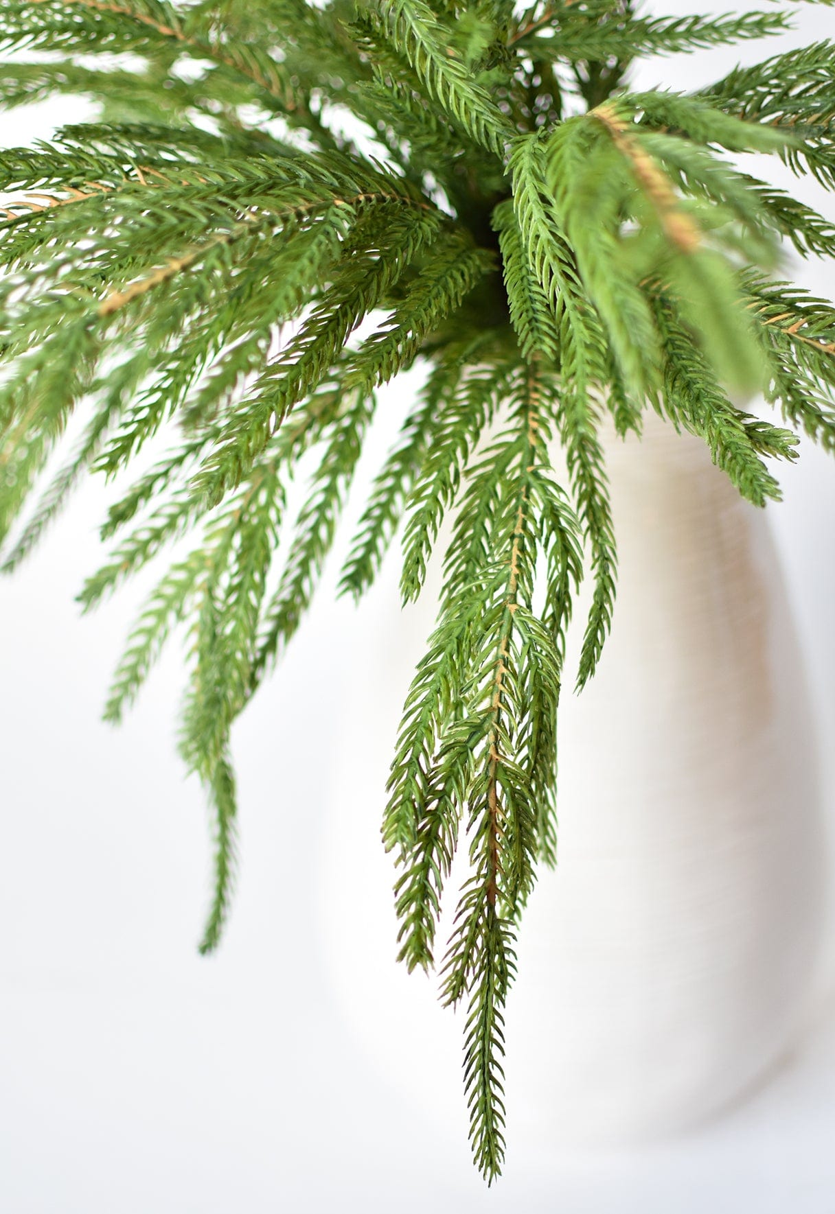 Norfolk Pine Bush, 20", Green