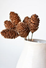 Load image into Gallery viewer, 10&quot; Faux Pinecone Stem Bundle
