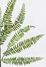 Load image into Gallery viewer, Green Woodland Fern Spray Stem, 34&quot;
