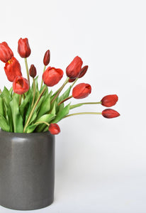 Red Tulip Stem Bundle, 18"