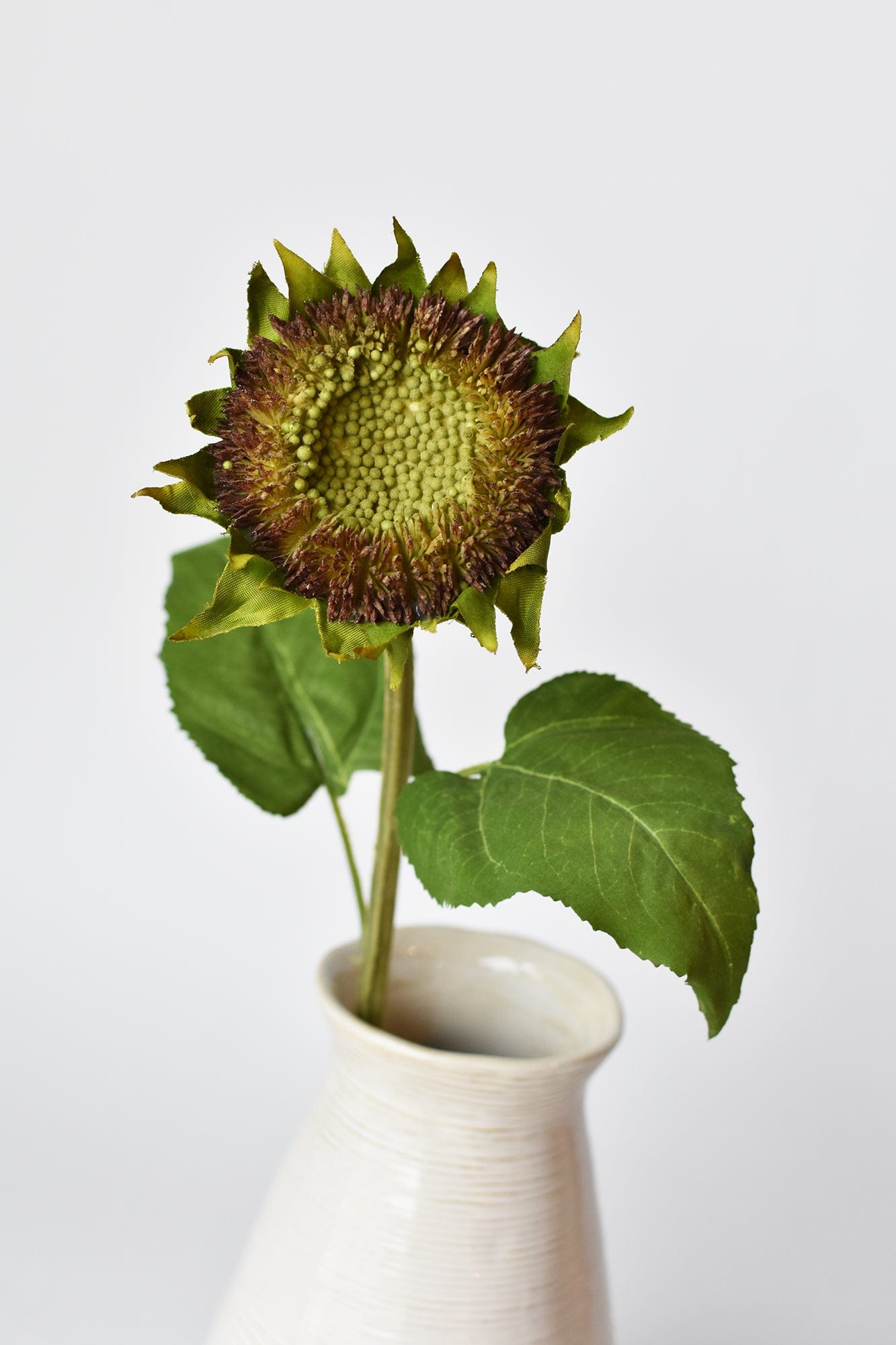 Sunflower Stem, Aged Brown, 28"
