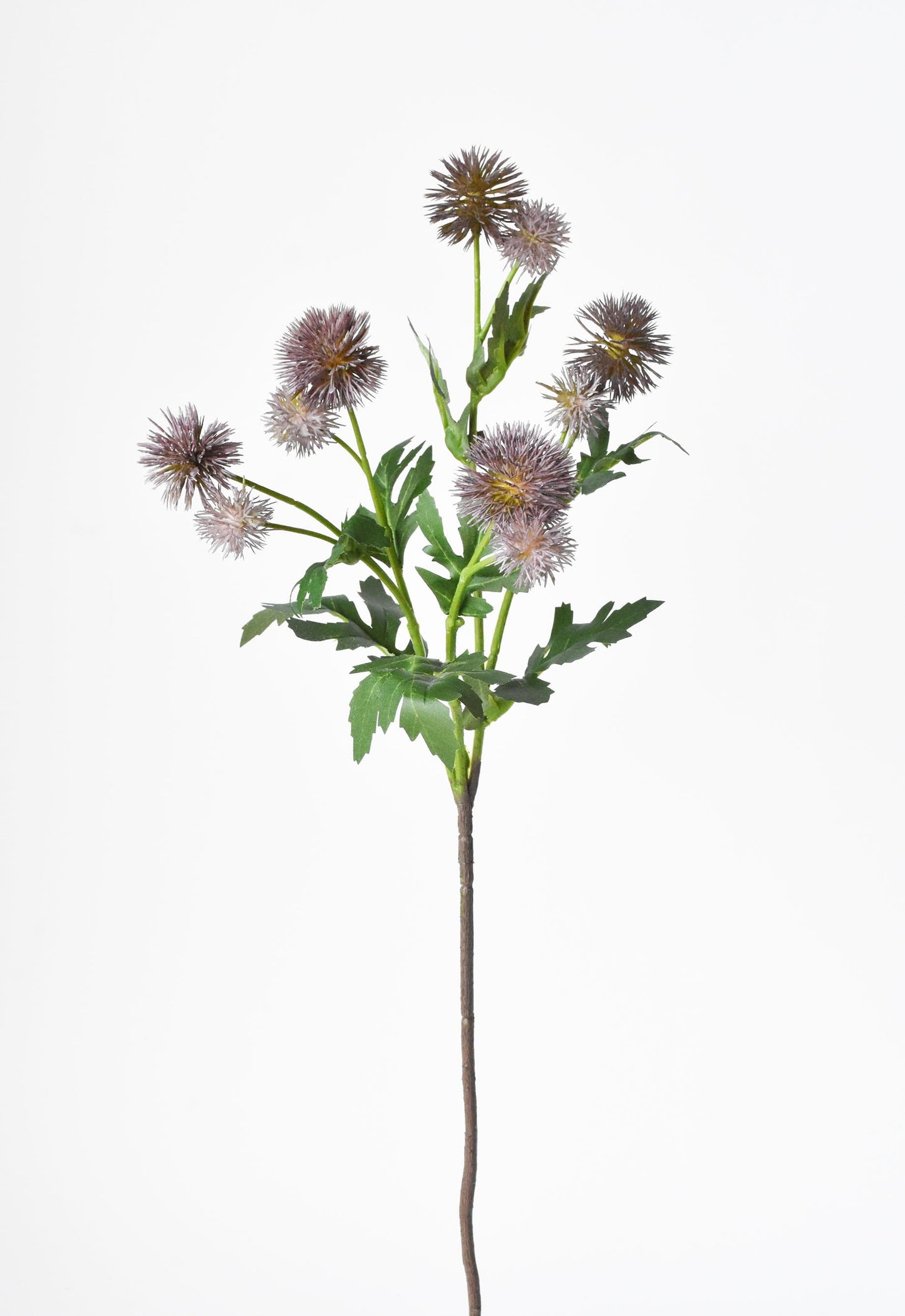 Pom Thistle Stem, 22", Soft Plum