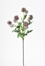 Load image into Gallery viewer, Soft Plum Pom Thistle Stem, 22&quot;
