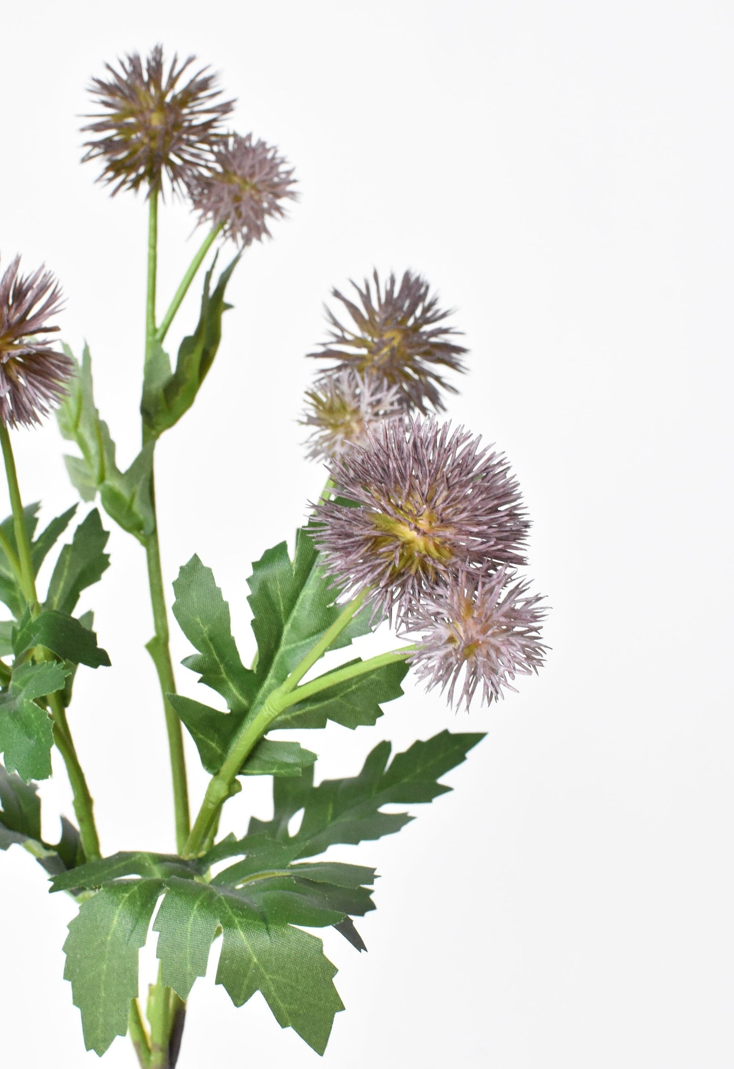 Pom Thistle Stem, 22", Soft Plum