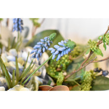 Load image into Gallery viewer, Blue Muscari Bush Grape Hyacinth, 12.5&quot;
