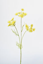 Load image into Gallery viewer, Yellow Queen Anne&#39;s Lace Stem, 20.5&quot;
