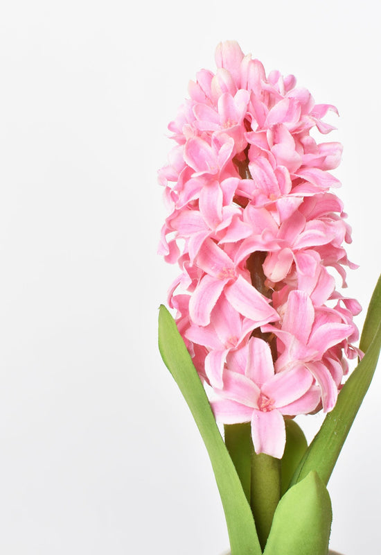 Hyacinth Stem, 12.5", Pink