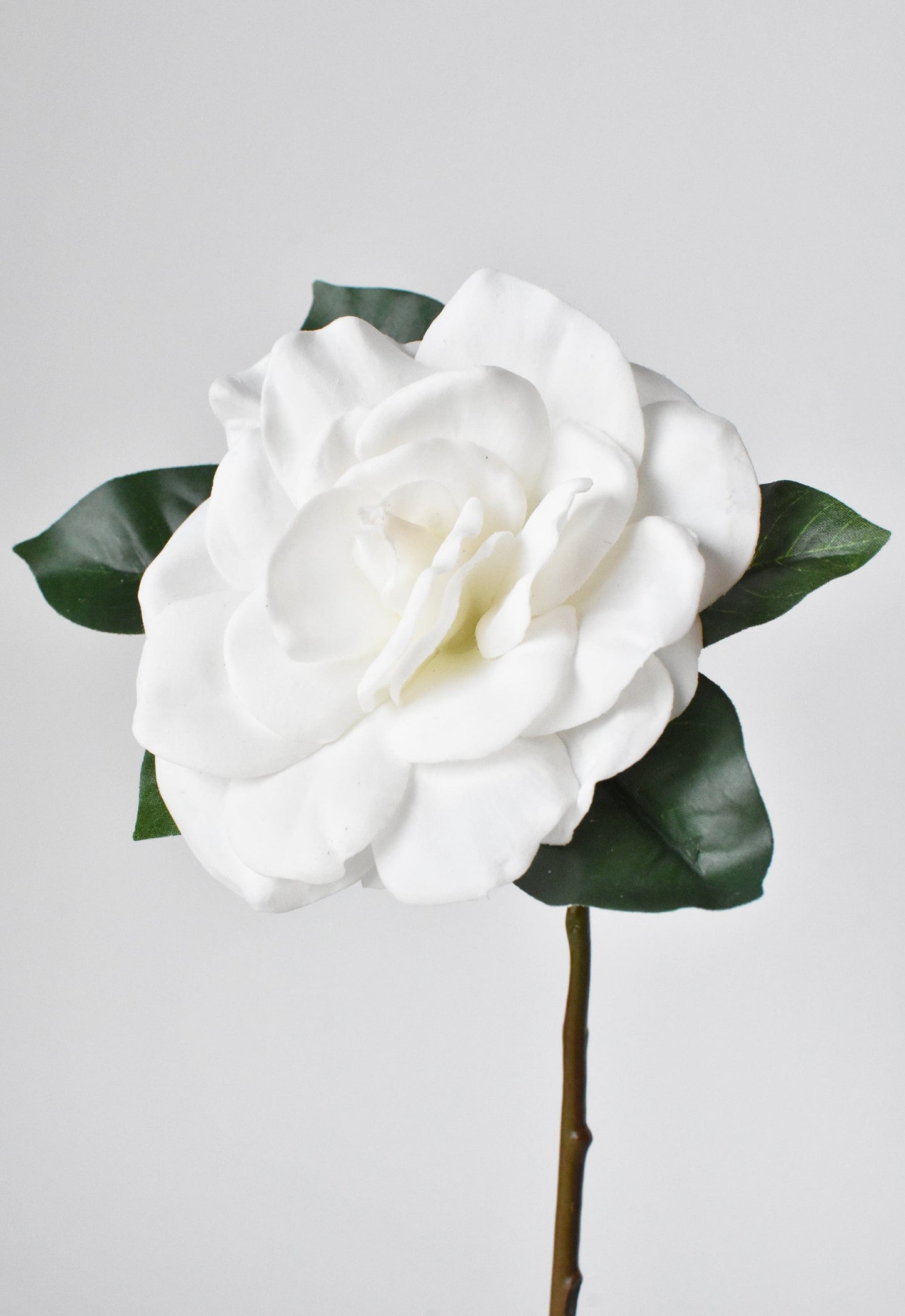 Gardenia Stem, 11", White, Real Touch