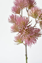 Load image into Gallery viewer, Muted Magenta Wild Thistle Stem, 19&quot;
