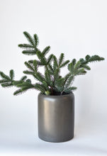 Load image into Gallery viewer, Green Pine Spray Stem, 18&quot;
