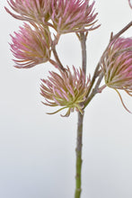 Load image into Gallery viewer, Muted Magenta Wild Thistle Stem, 19&quot;

