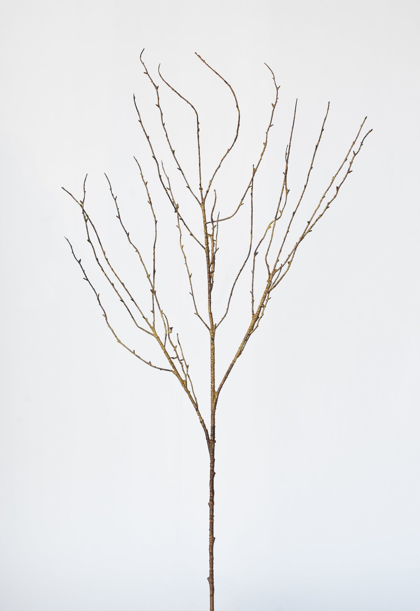 Twig Branch, 40", Light Brown