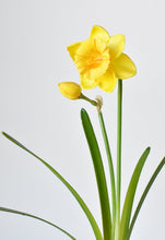 Load image into Gallery viewer, Yellow Daffodil Spray Stem, 19&quot;
