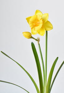 Yellow Daffodil Spray Stem, 19"