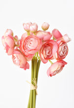 Load image into Gallery viewer, Light Pink Ranunculus Stem Bundle, 10.5&quot;
