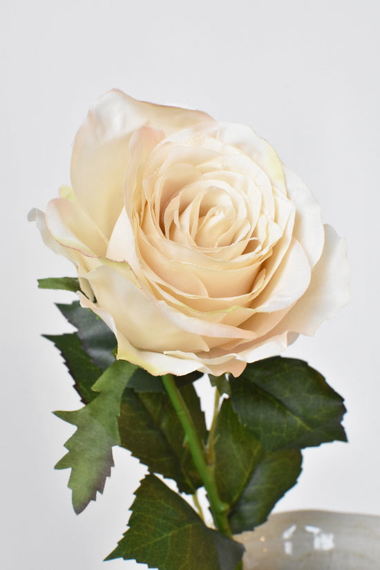 Rose Stem, 22", Beige