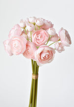 Load image into Gallery viewer, Pale Pink Ranunculus Stem Bundle, 10&quot;
