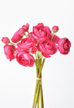 Load image into Gallery viewer, Dark Pink Ranunculus Stem Bundle, 10.5&quot;
