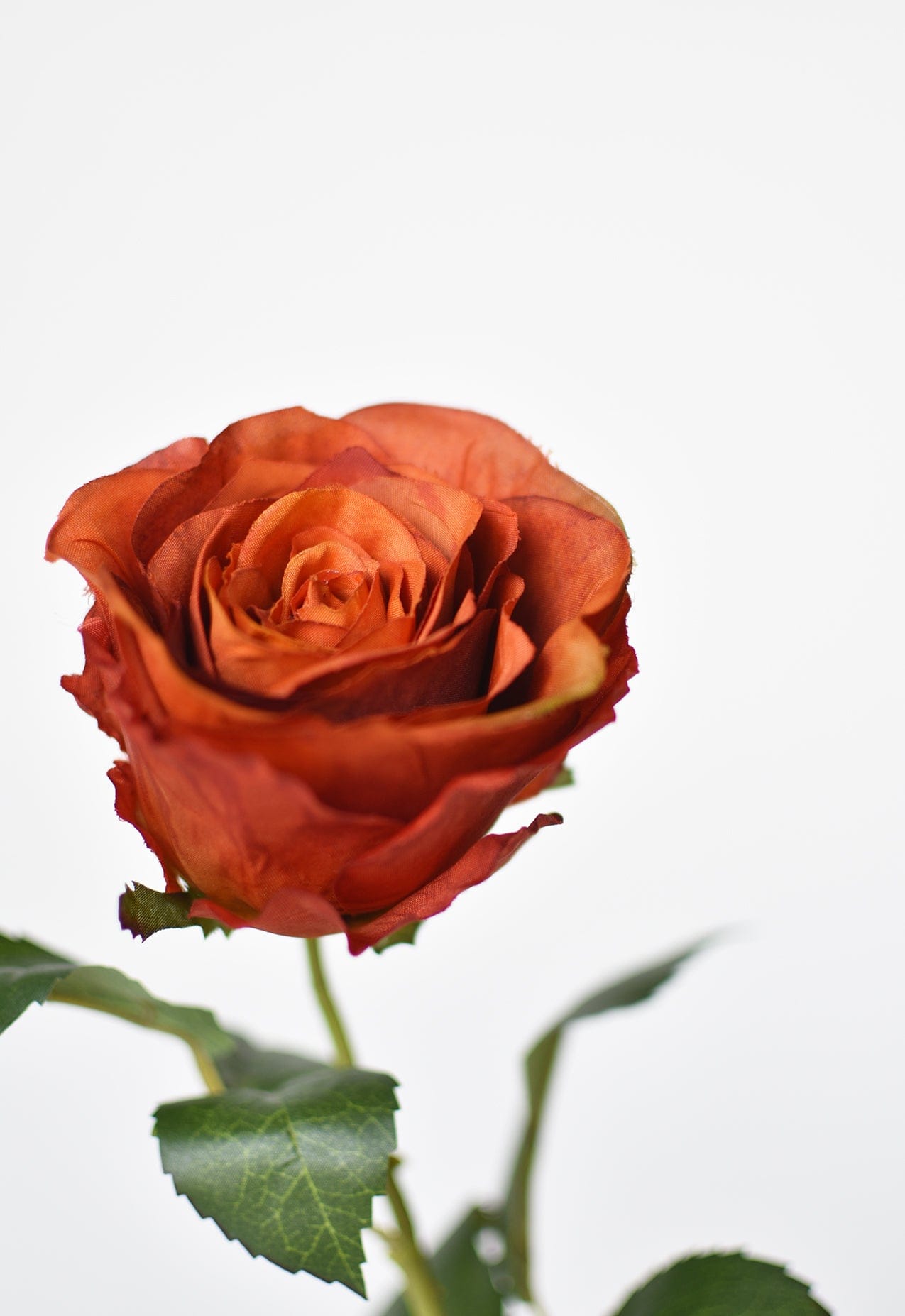 Large Rose Bud Stem, 22", Deep Orange