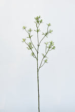 Load image into Gallery viewer, Green Thistle Spray Stem, 24&quot;
