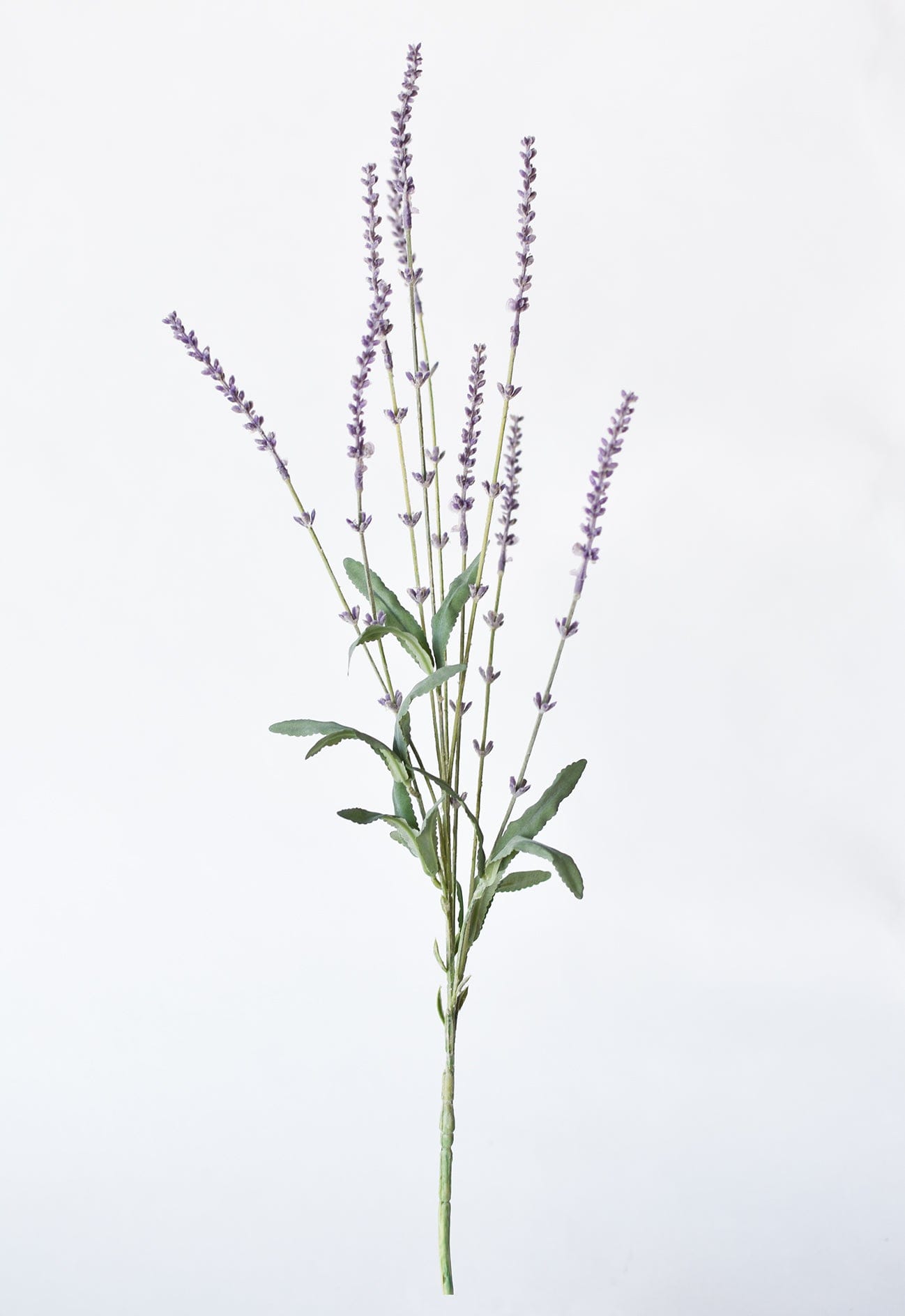 Lavender Stem, 33"