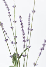 Load image into Gallery viewer, 33&quot; Faux Lavender Stem
