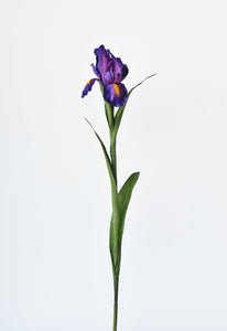 28" Faux Purple Iris Stem