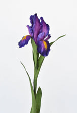 Load image into Gallery viewer, 28&quot; Faux Purple Iris Stem
