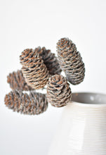 Load image into Gallery viewer, Sugared Pinecone Pick, 8.5&quot;
