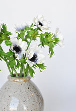 Load image into Gallery viewer, Cream and Lavender Anemone Stem, 16.5&quot;
