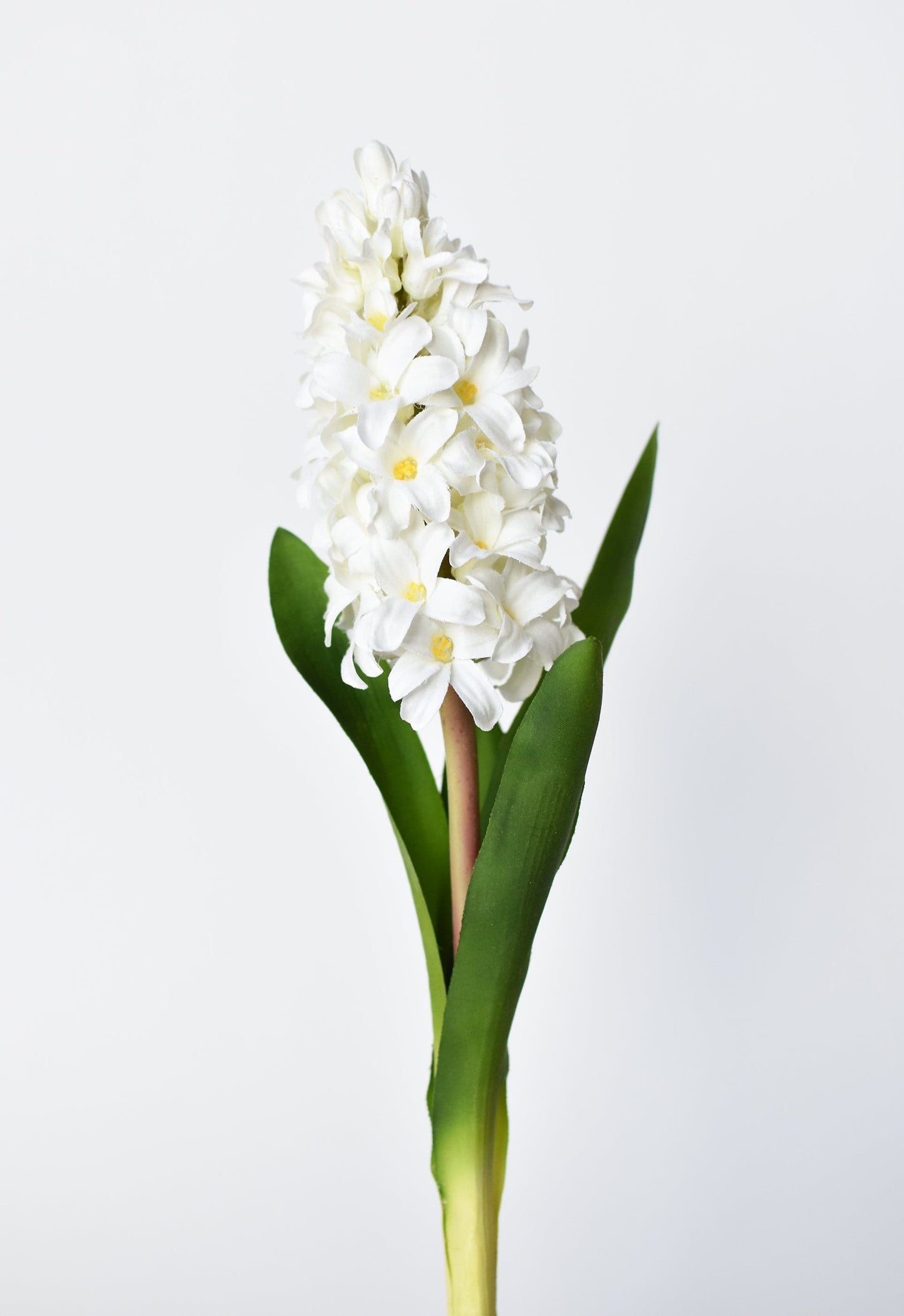 Hyacinth Stem, 12.5", White