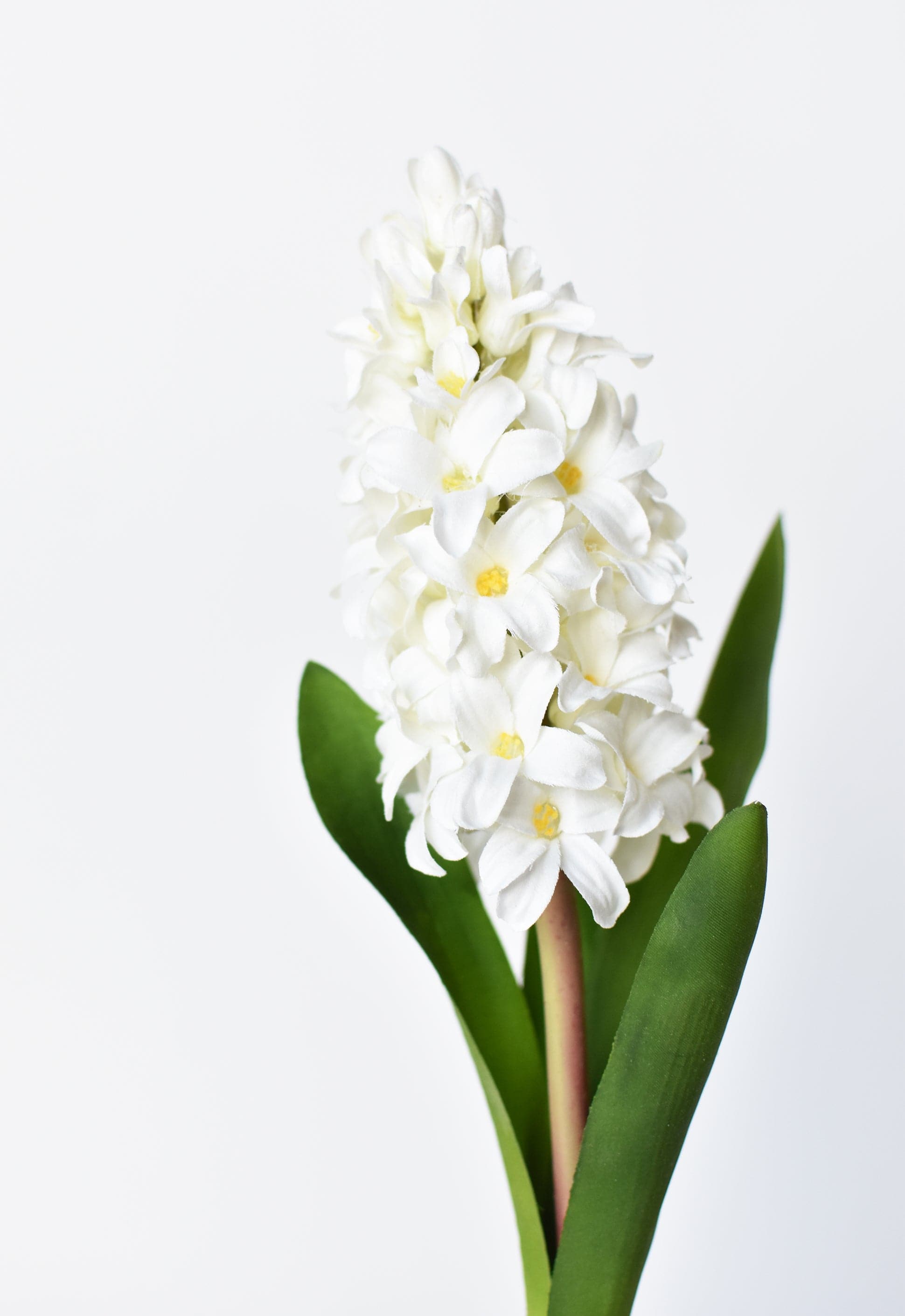 Hyacinth Stem, 12.5", White